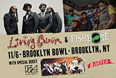 Living Colour and Fishbone at Brooklyn Bowl - with special guest Brass Against - Tuesday, November 8th, 2018